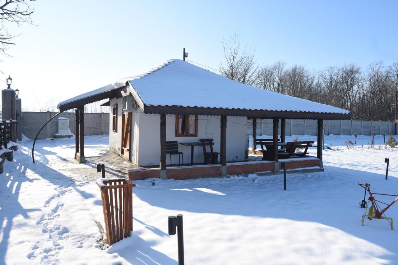 Resavsko Etno Selo Hotel Despotovac Exterior photo